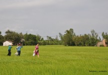 Tour Du Lịch Sài Gòn - Đồng Tháp (Vườn Cò Sa Đéc) - Vinh Sang 3 Ngày 2 Đêm